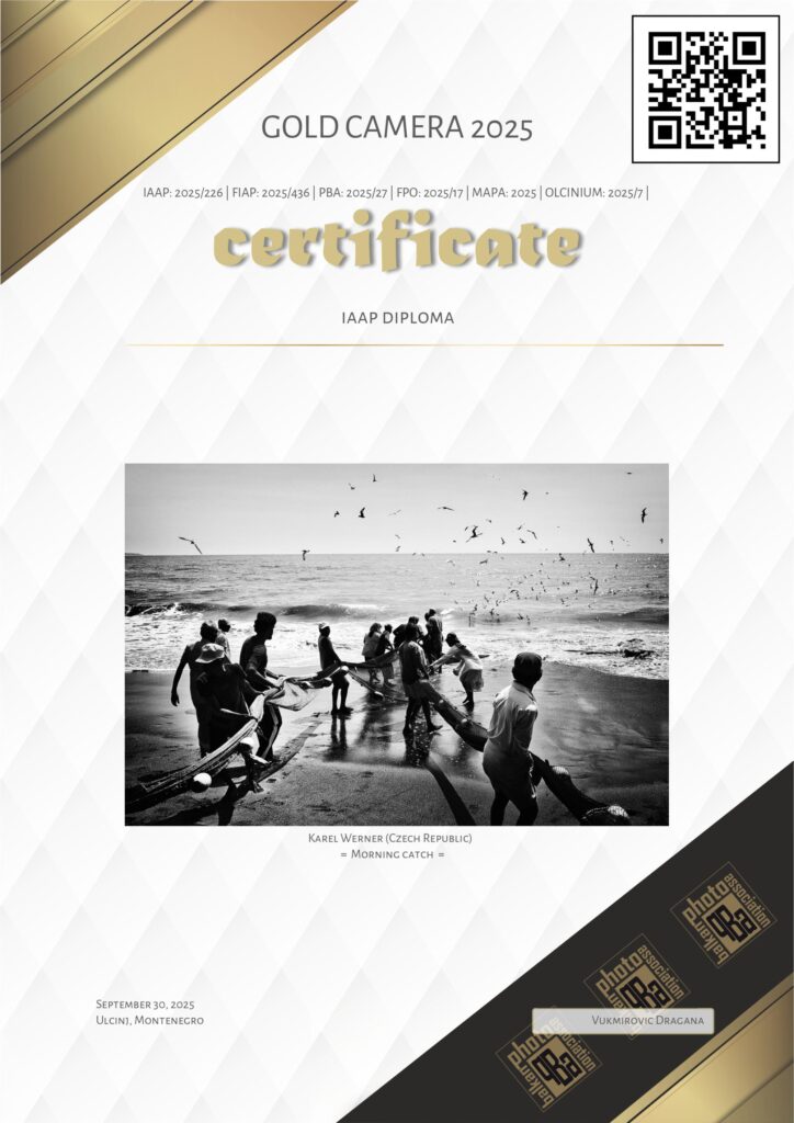 IAAP Diploma